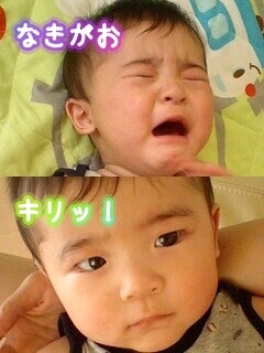 摜(240x320)