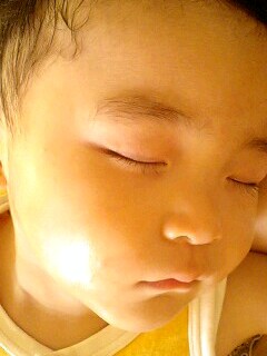 画像(240x320)
