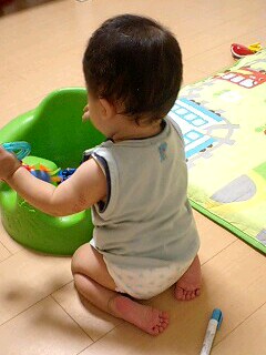 画像(240x320)
