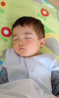 摜(192x320)Eg摜(240x400)