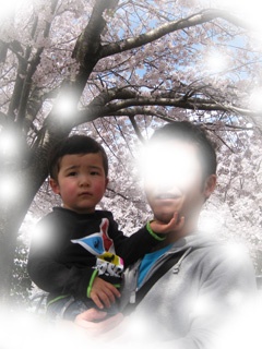 画像(240x320)