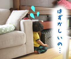 画像(240x200)