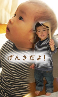 摜(192x320)Eg摜(240x400)