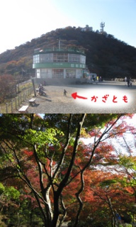 摜(192x320)Eg摜(240x400)
