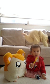 摜(192x320)Eg摜(240x400)