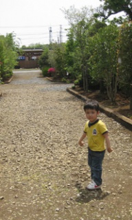 摜(192x320)Eg摜(200x333)