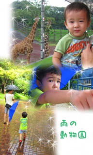 摜(192x320)Eg摜(230x383)