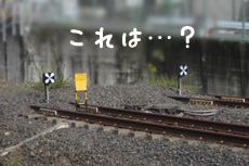 画像(230x153)