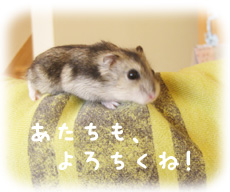 画像(230x192)