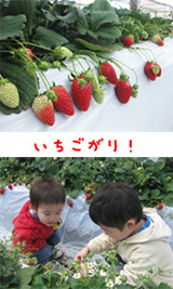 画像(160x267)
