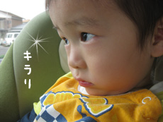 画像(230x173)
