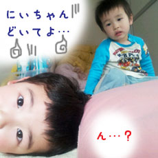画像(230x230)