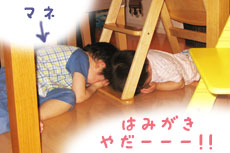 画像(230x153)