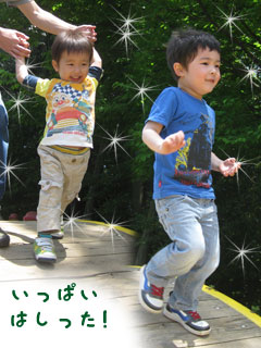 画像(240x320)