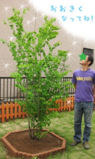 摜(192x320)Eg摜(200x333)