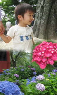 摜(192x320)Eg摜(240x400)