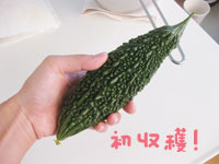 画像(200x150)