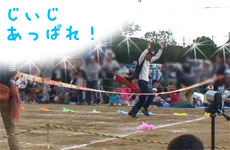 画像(230x150)