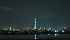画像(230x134)