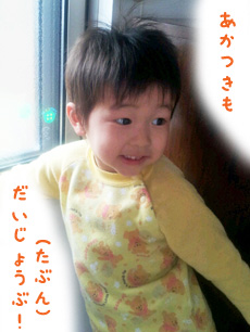 摜(230x306)