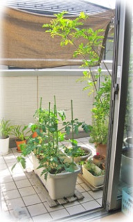 摜(192x320)Eg摜(200x333)