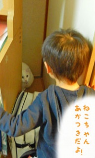 摜(192x320)Eg摜(200x333)