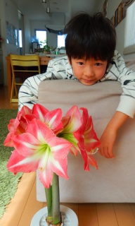 摜(192x320)Eg摜(240x400)