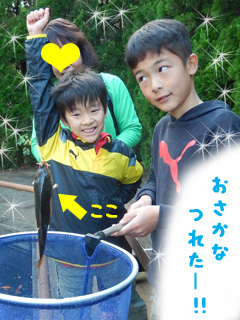 画像(240x320)