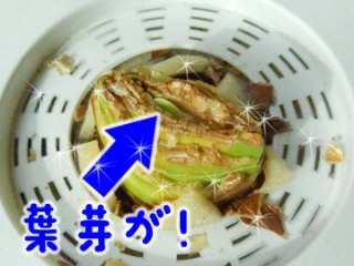 摜(320x240)Eg摜(360x270)