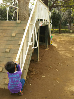 摜(240x320)