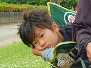 摜(320x240)Eg摜(480x360)