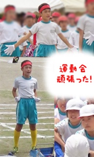 摜(192x320)Eg摜(240x400)
