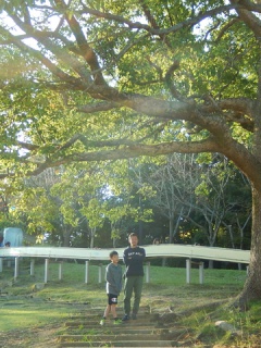 摜(240x320)Eg摜(360x480)