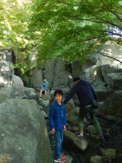 摜(240x320)Eg摜(360x480)